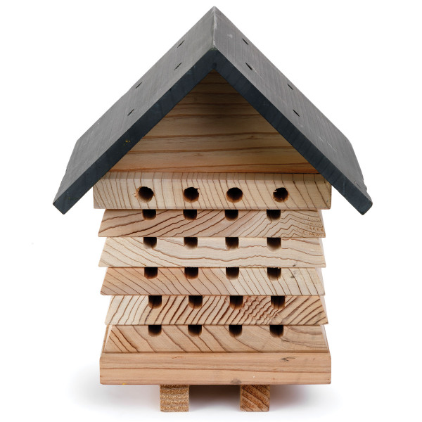 The Honeycomb Solitary Beehive – Un Havre Idéal pour les Abeilles Solitaires