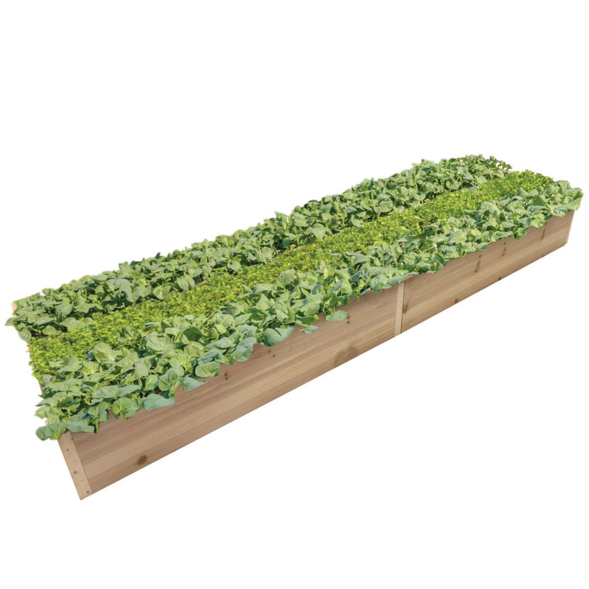 Foreman Hochbeet Mit Rollen – 122x61x76 Cm, HPL-Kunststoff In Holzoptik, Wetterfest & Einfach Aufzubauen