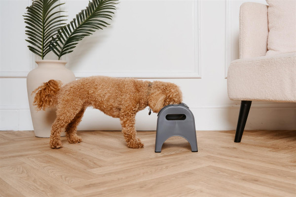 EasyEat Futterspender Futternapf Hunde - Anthrazitgrau